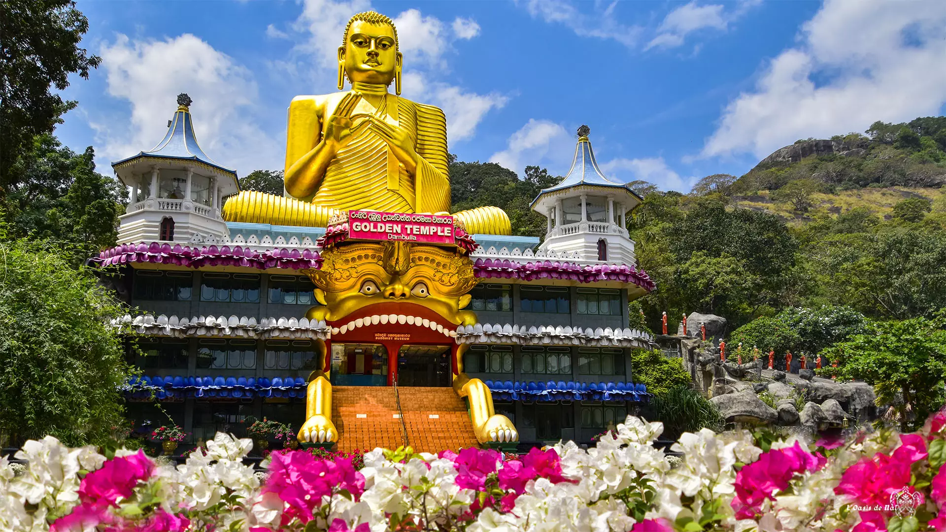 تور دامبولا